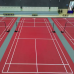 Portable Roll-Up PVC Sports Flooring for Badminton, Pickleball & Volleyball indoor use